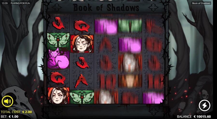 Book of Shadows symbolit ja voitot