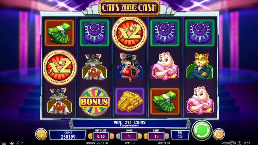 Cats and Cash pikkuvoitto